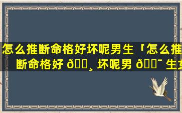 怎么推断命格好坏呢男生「怎么推断命格好 🕸 坏呢男 🐯 生女生」